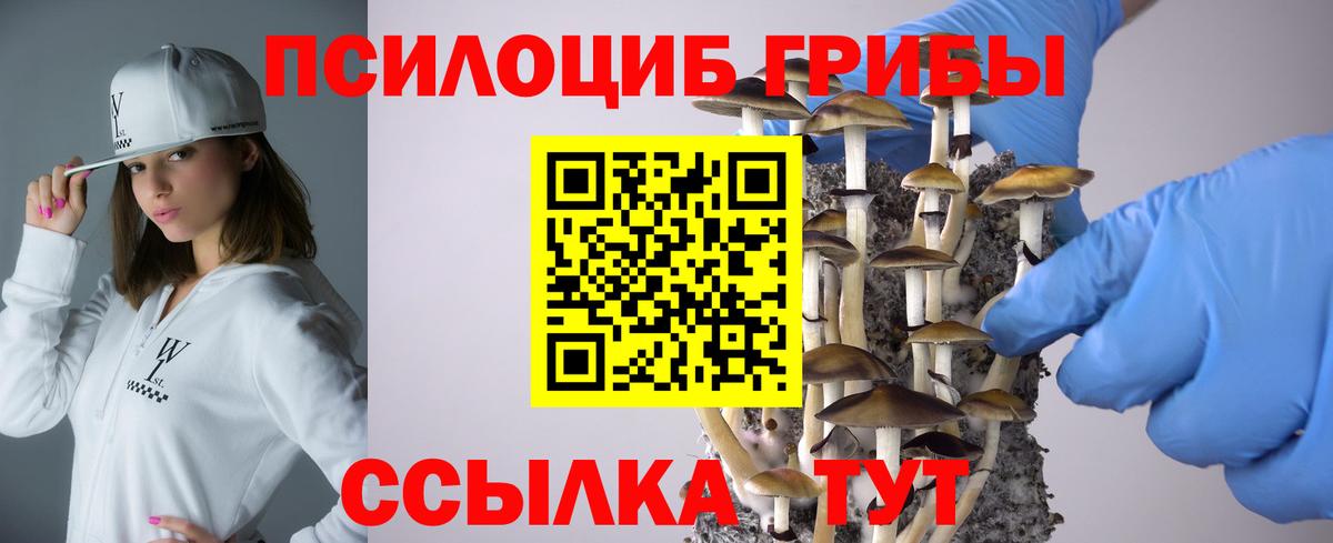 Партизанск  Псилоцибиновые грибы Cubensis  Вход с VPN 